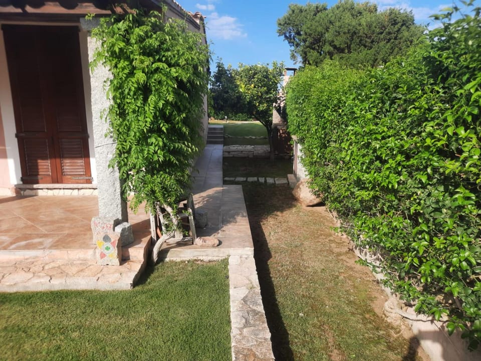 Property building, Garden