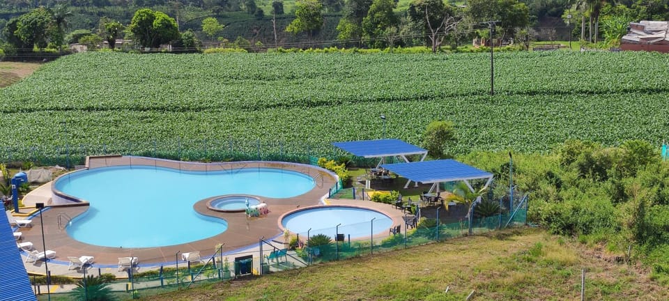 Pool view, Swimming pool