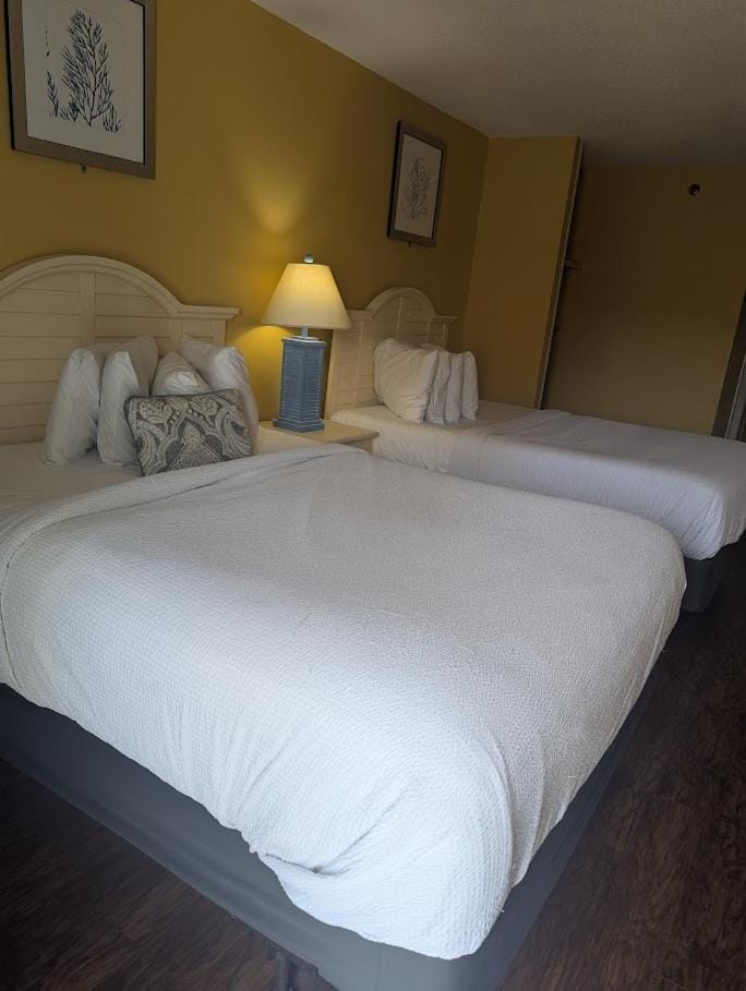 Ocean View Double Queen Suite! Perfect for 4 Guests! Sea Mist 50603 House in Myrtle Beach