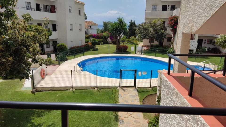 Patio, Day, Garden, Garden view, Pool view, Swimming pool