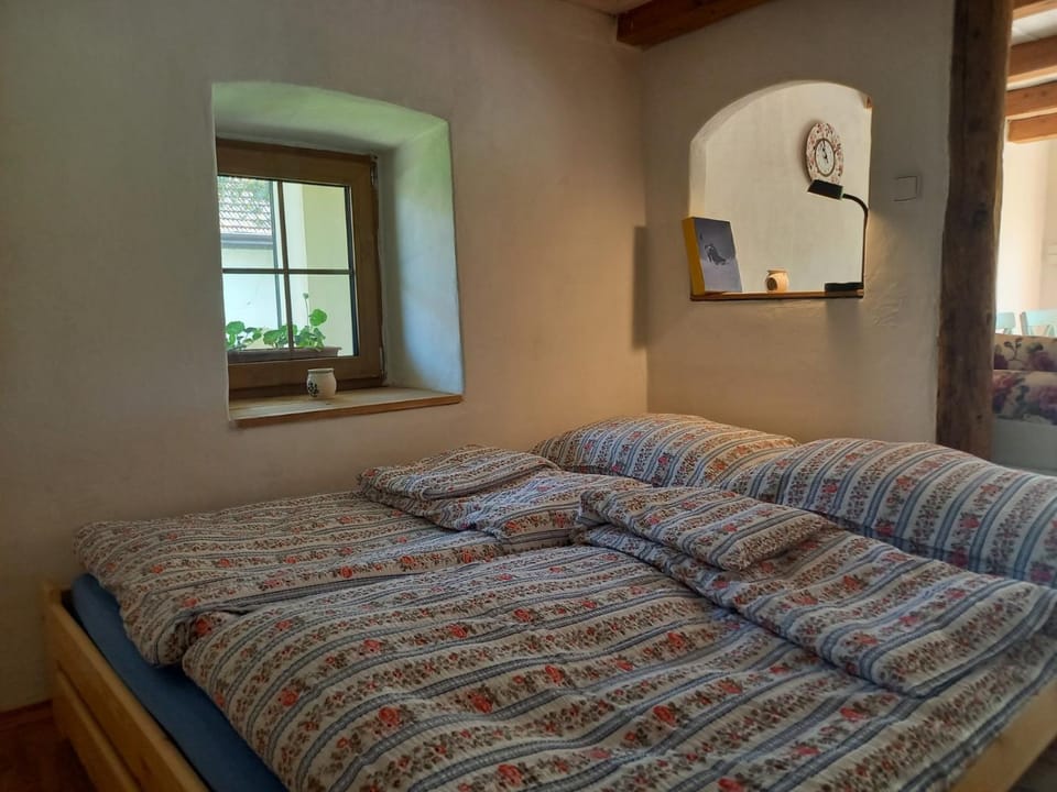Wellness Vejminek na farmě u koní Apartment in Czechia