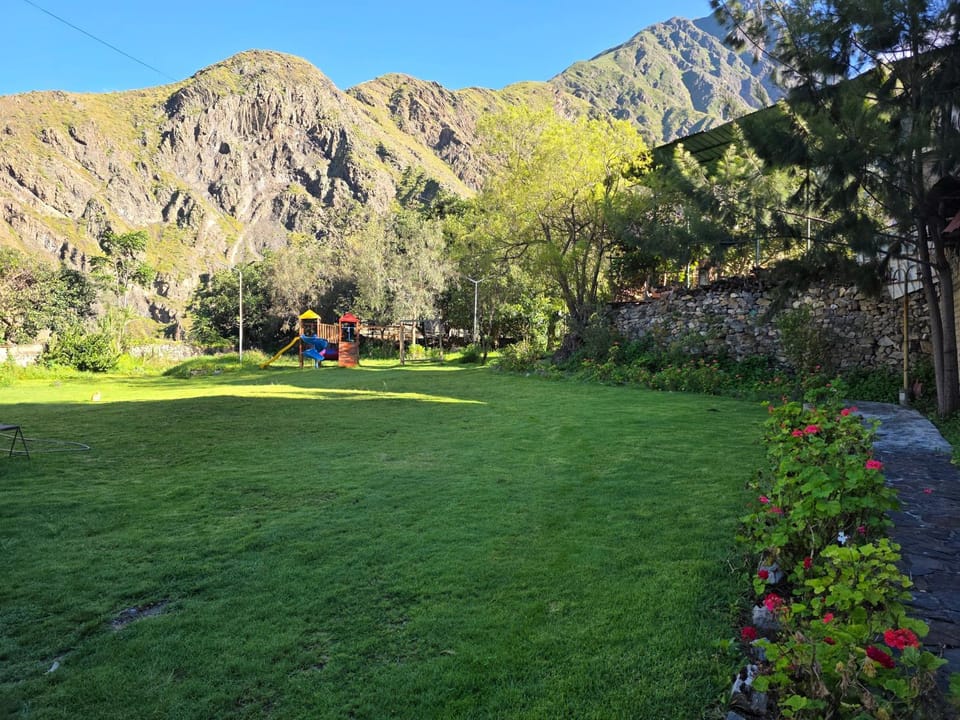 Day, Garden, Mountain view