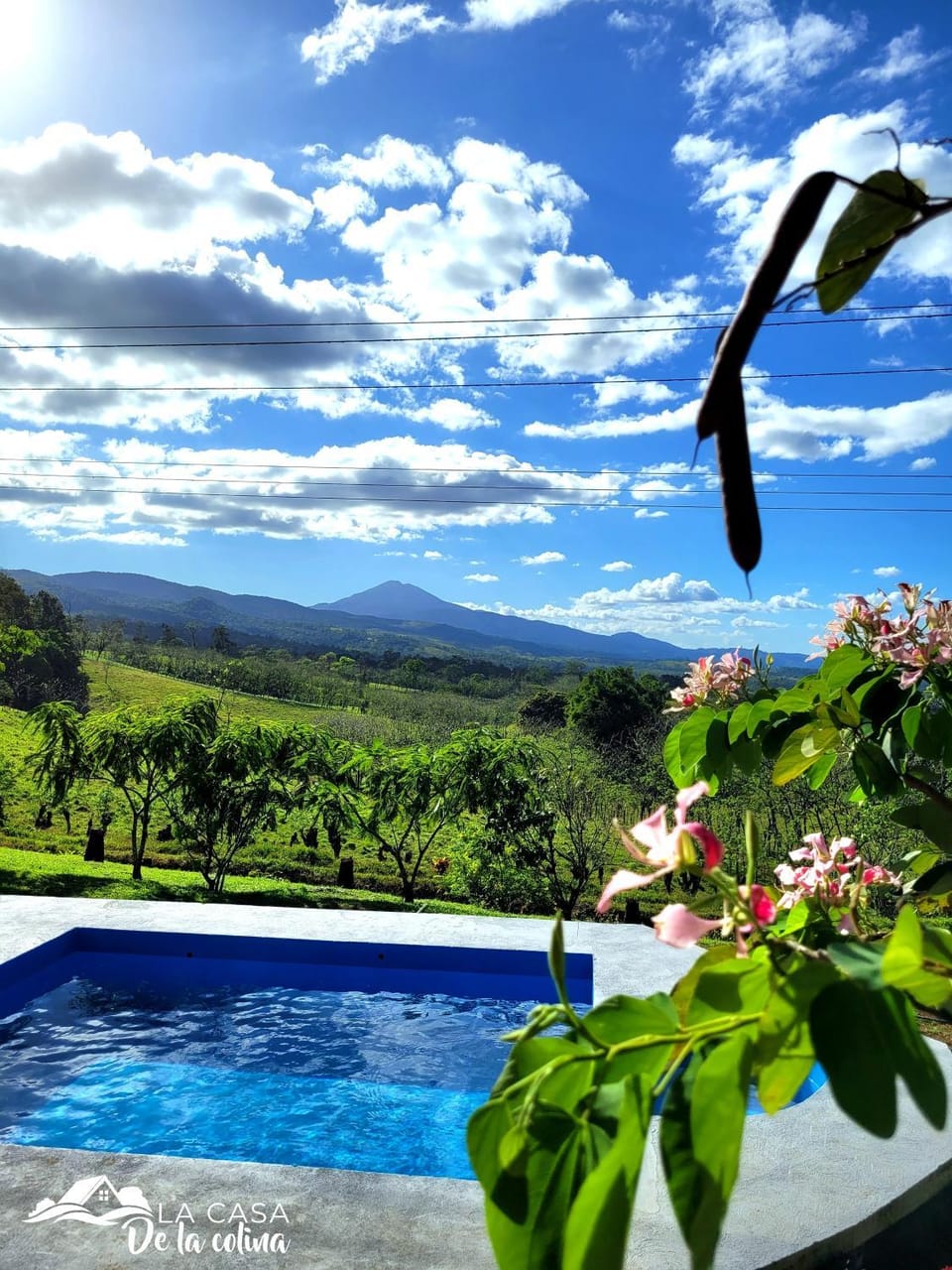 Garden view, Pool view