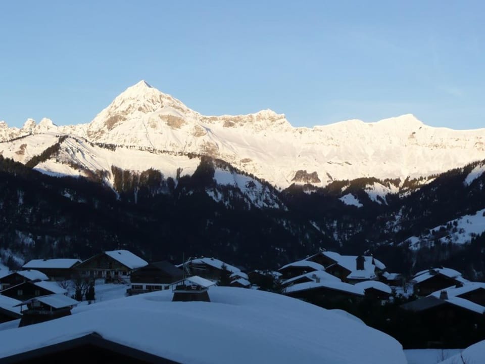 Duplex 8 pers. à 200m des pistes avec garage - FR-1-733-101 Apartment in Haute-Savoie