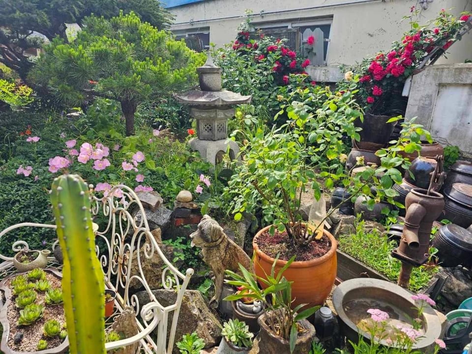 Beautiful Garden Fine Day House Bed and Breakfast in South Korea