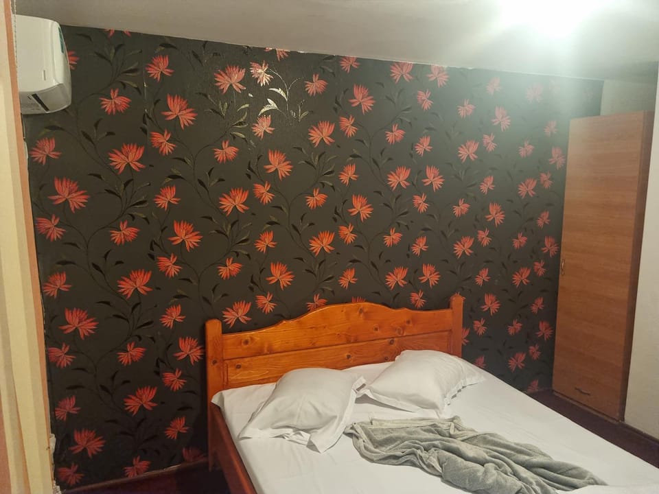 Vila Ioana & Mirel Bed and Breakfast in Constanța County
