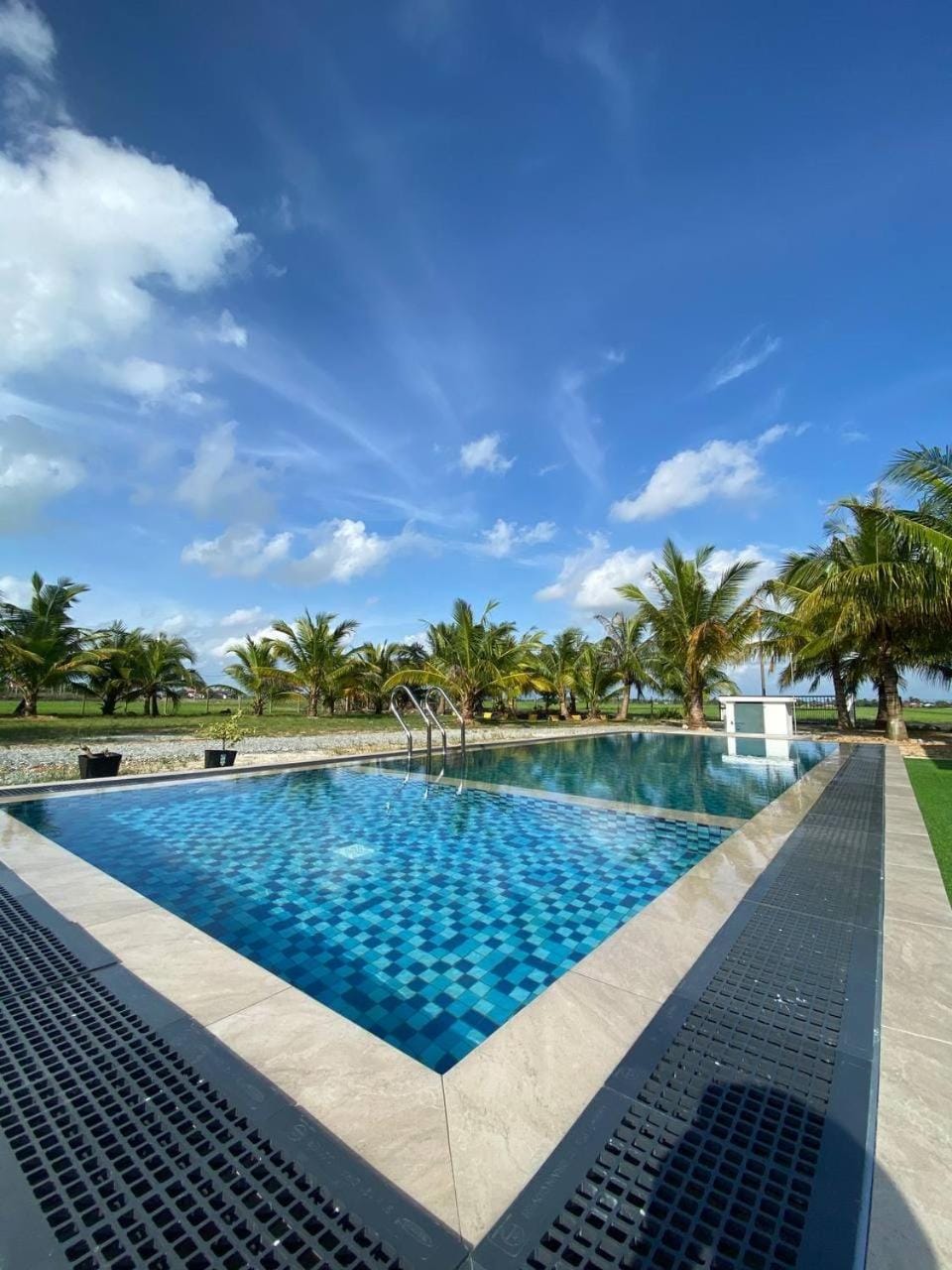Day, Pool view, Swimming pool, Swimming pool, sunbed