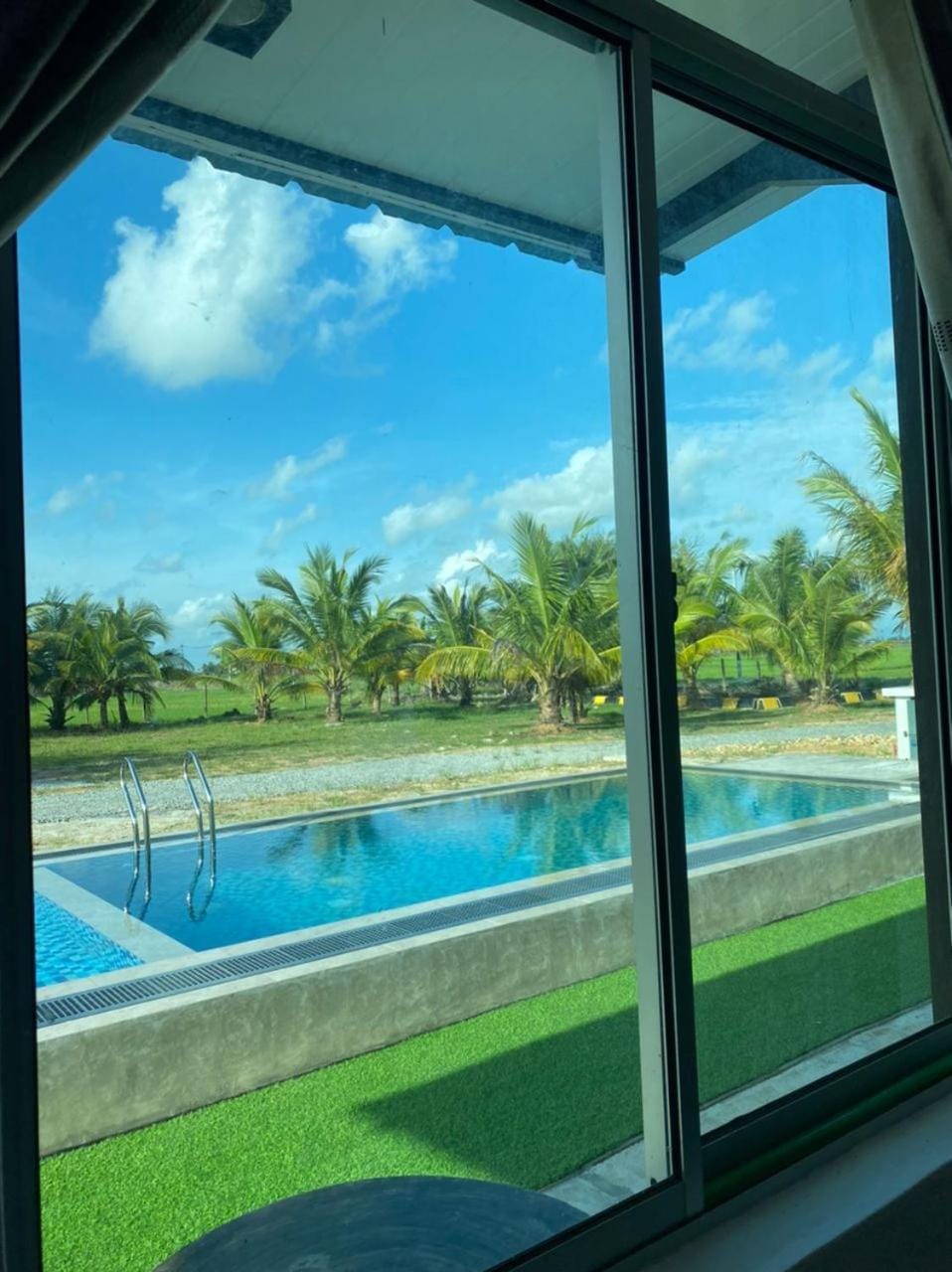 Day, Garden, Garden view, Pool view, Swimming pool, Swimming pool, sunbed