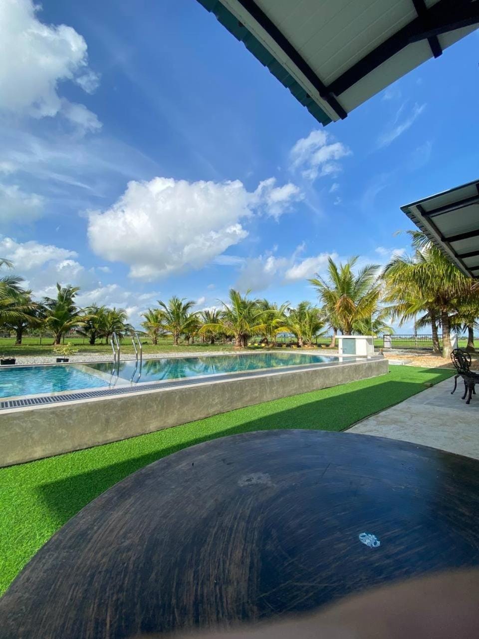Day, Natural landscape, Garden view, Pool view, Swimming pool