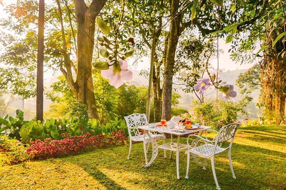 Day, Natural landscape, Garden, Garden view