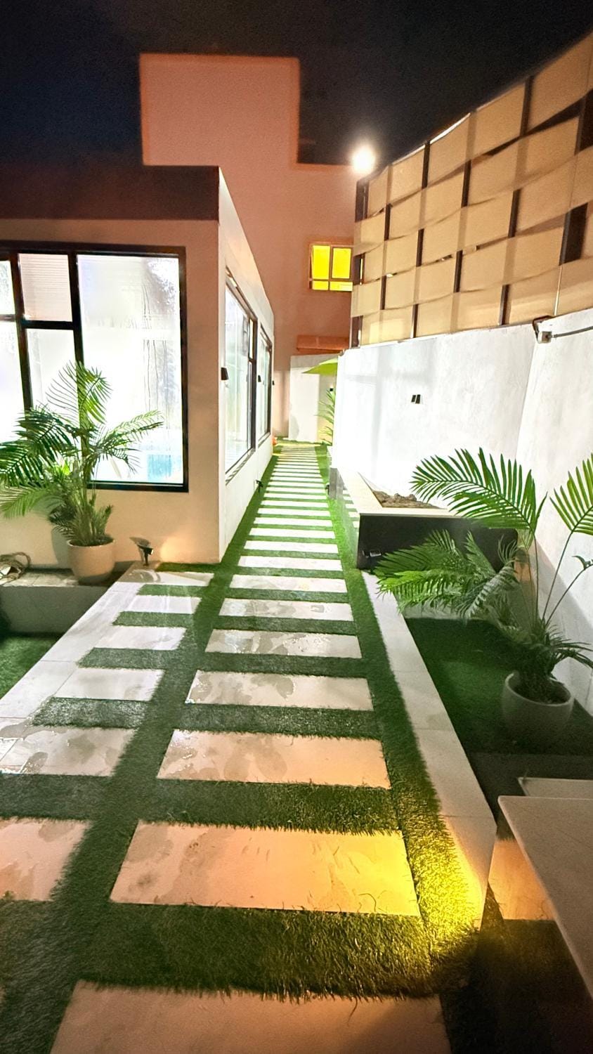 Night, Garden, Garden view