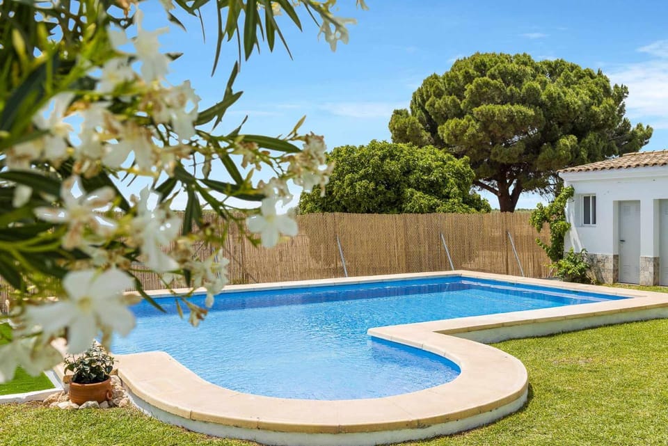 Garden, Garden view, Pool view, Swimming pool