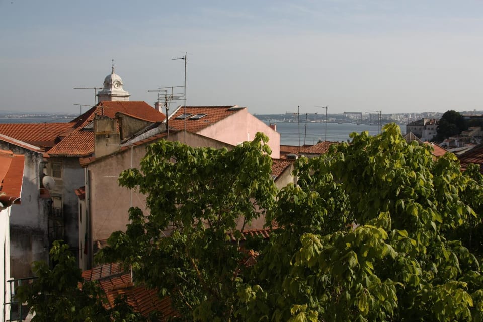 View (from property/room)
