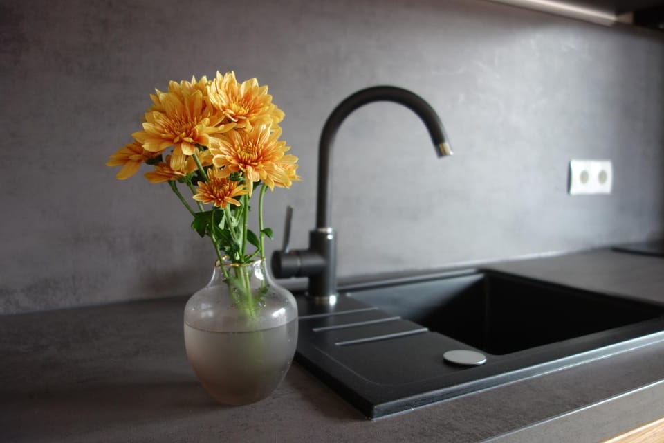 Kitchen or kitchenette, stove