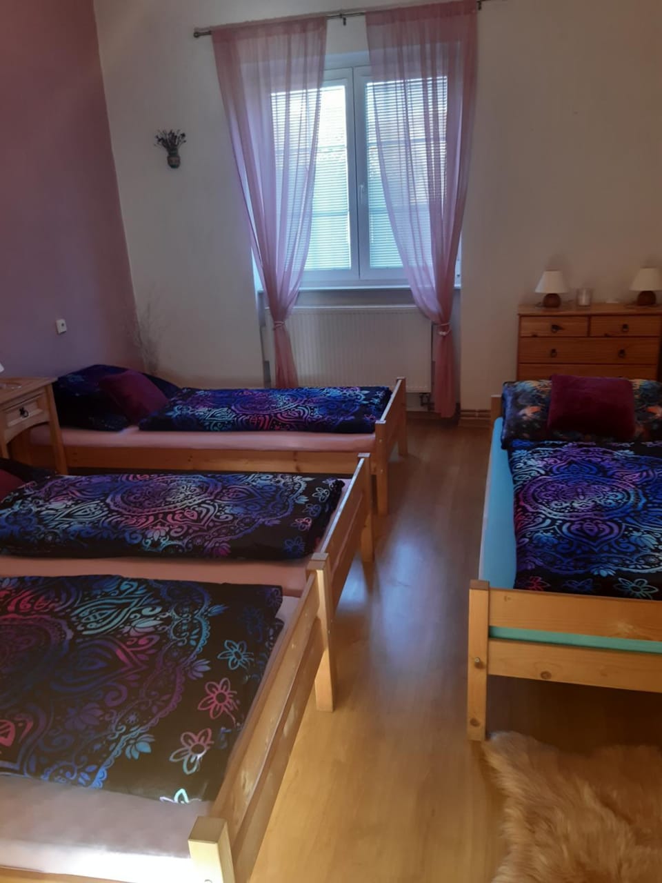 U paní malířky Apartment in South Moravian Region
