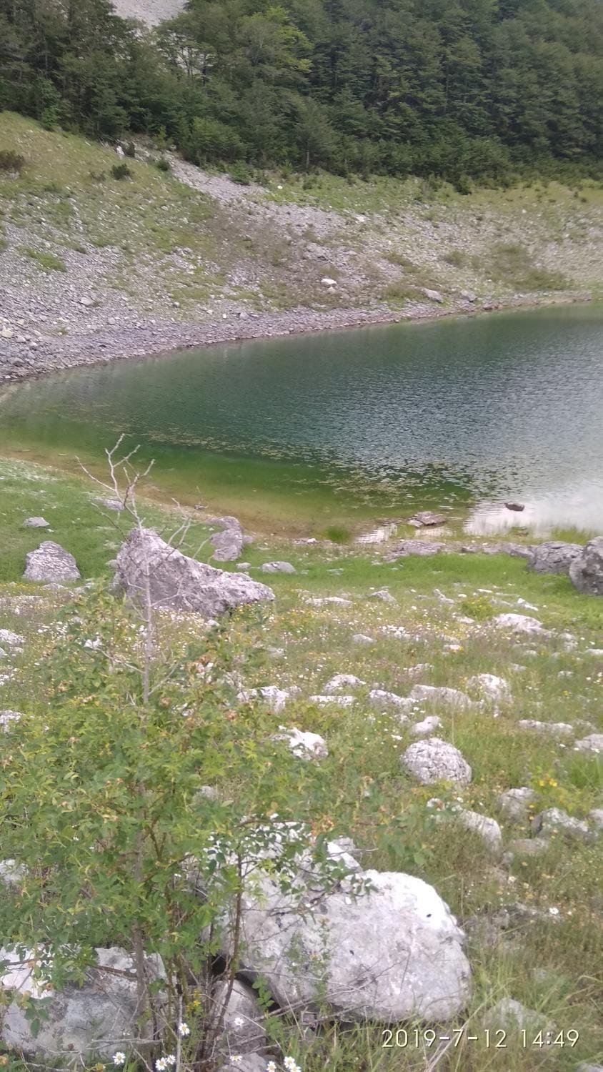 Jelena Apartment in Montenegro