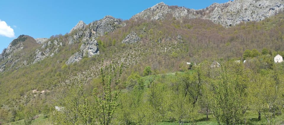 Jelena Apartment in Montenegro