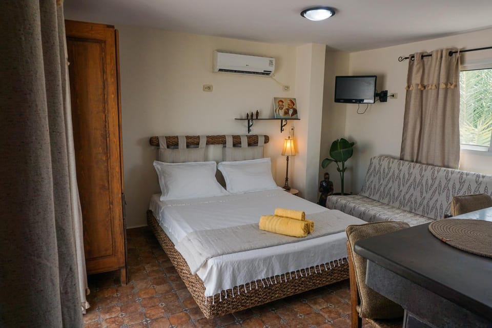 Bed, TV and multimedia, Living room, wardrobe, air conditioner