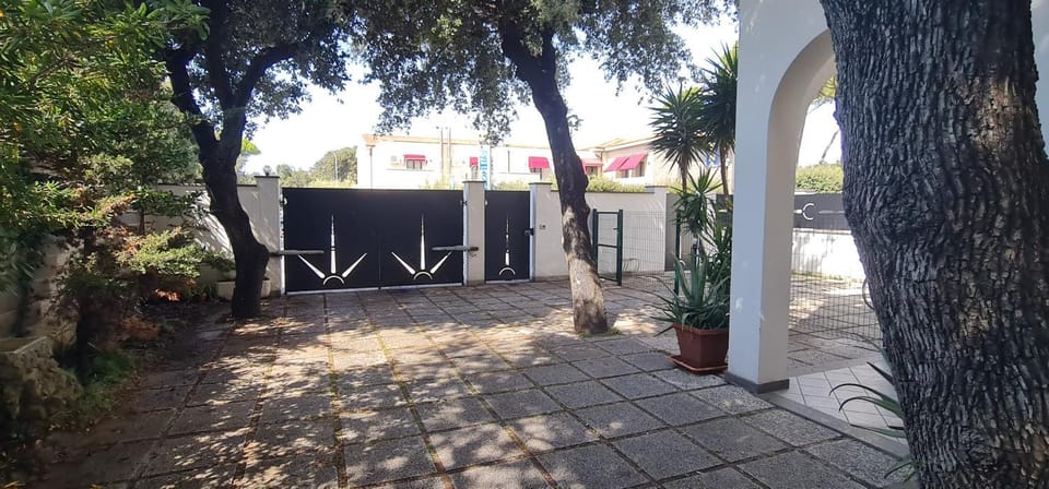 Garden, Garden, Pets, Garden view
