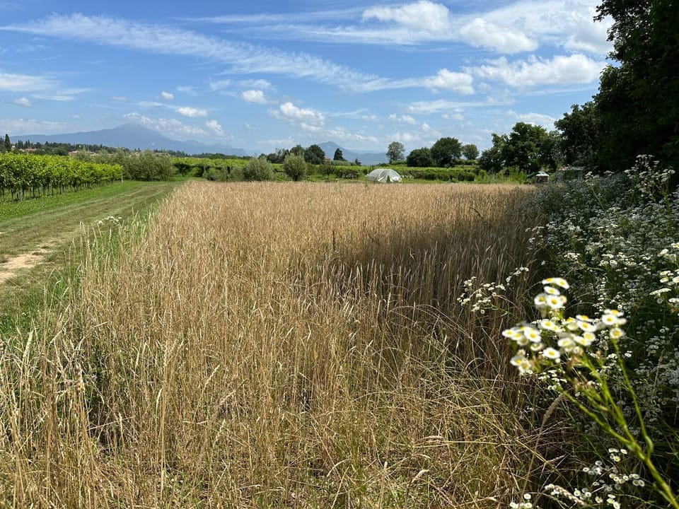 Natural landscape