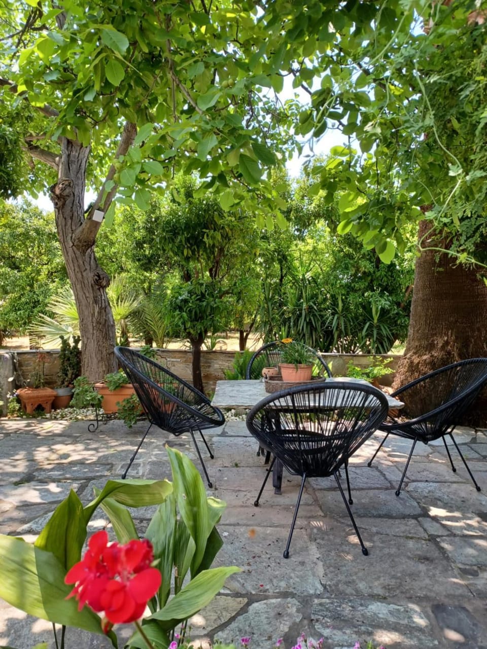 The Village House House in Magnesia Prefecture, Greece