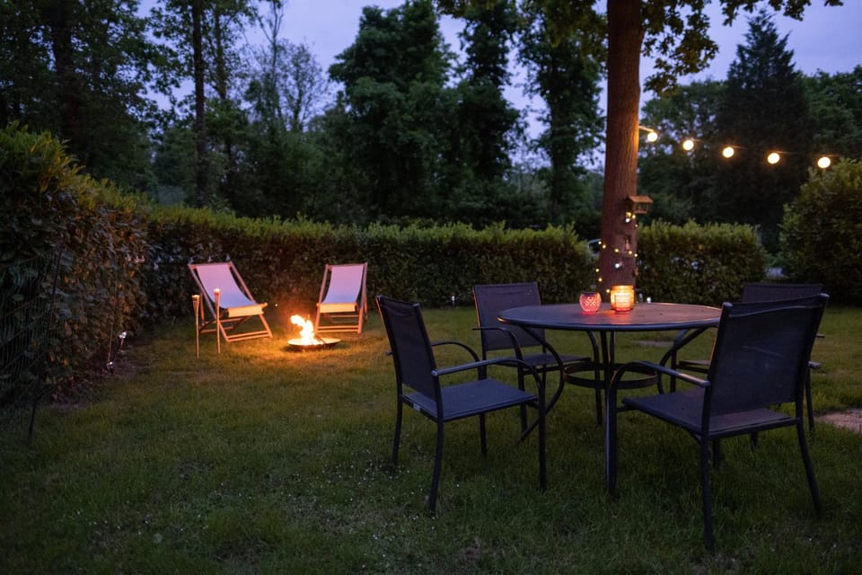 Night, Garden, Garden, Garden view