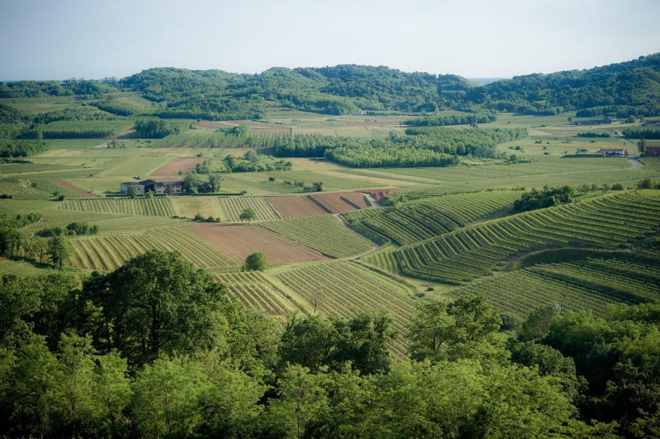 Natural landscape