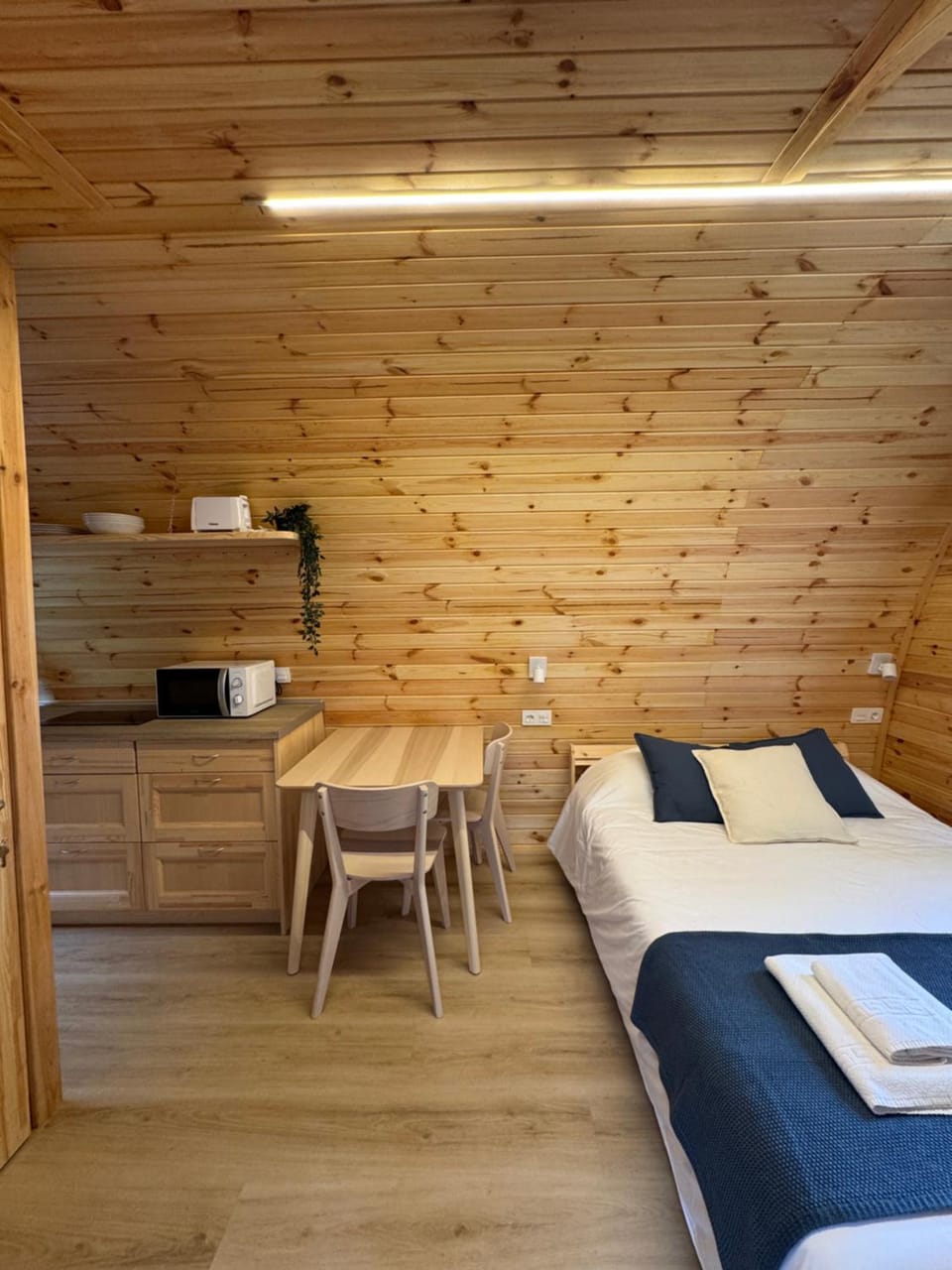 Kitchen or kitchenette, Photo of the whole room, Dining area, Bedroom