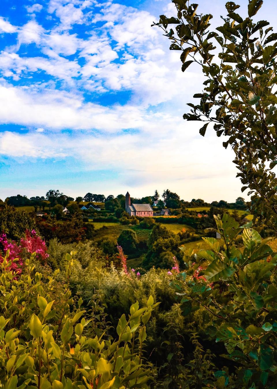 Spring, Day, Natural landscape