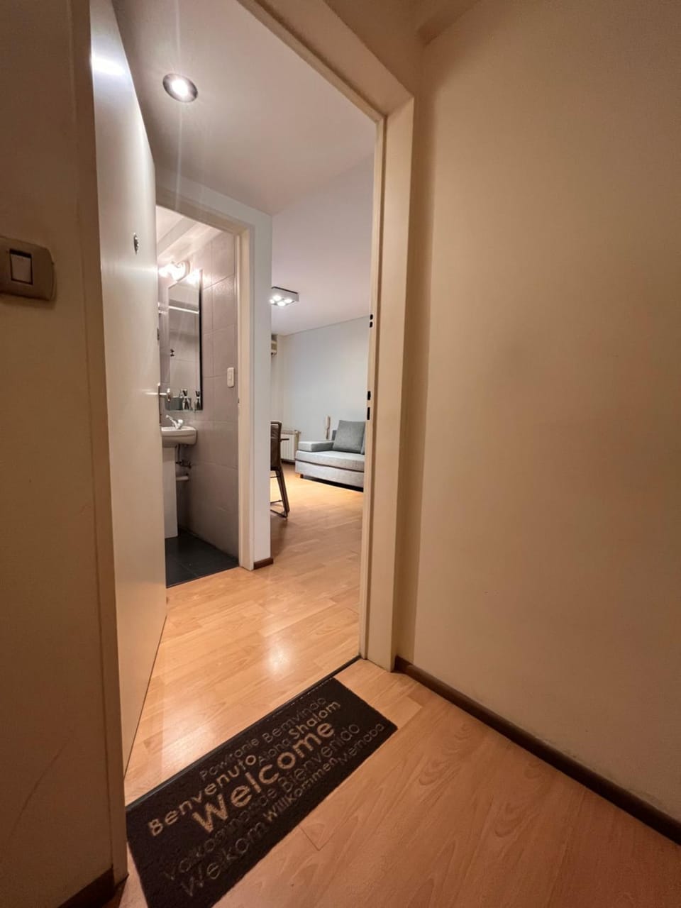 Palermo Ubicación ideal,amplio, luminoso Apartment in Buenos Aires