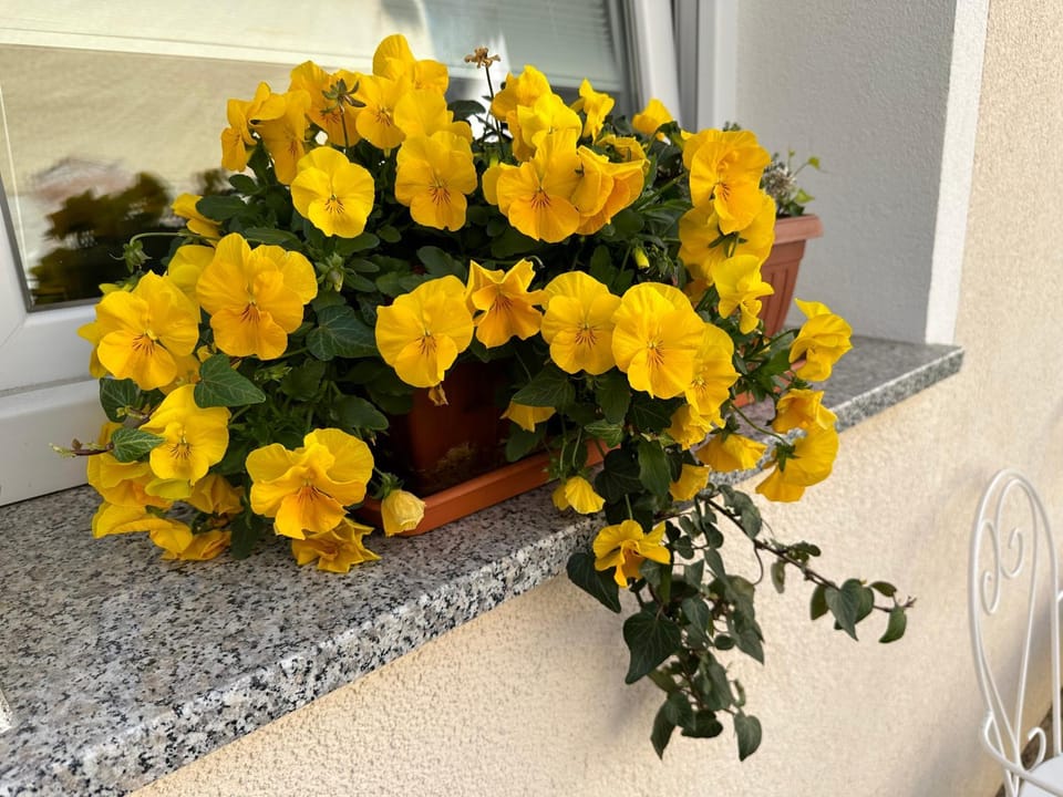 Decorative detail