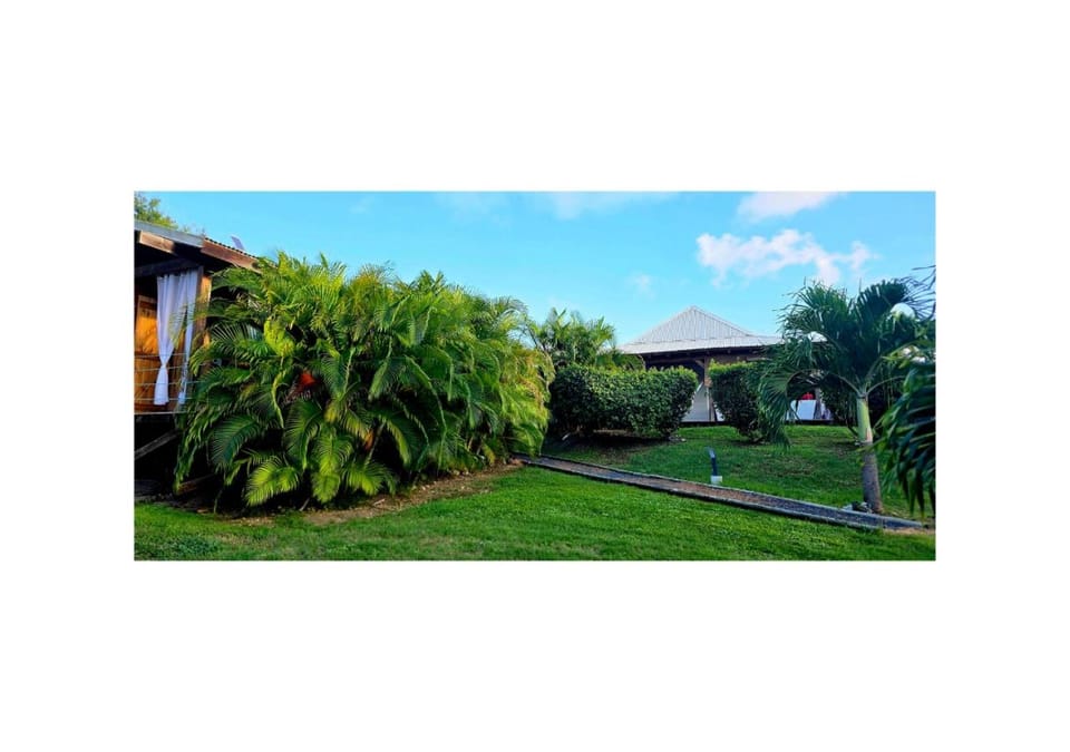 Garden, Garden view