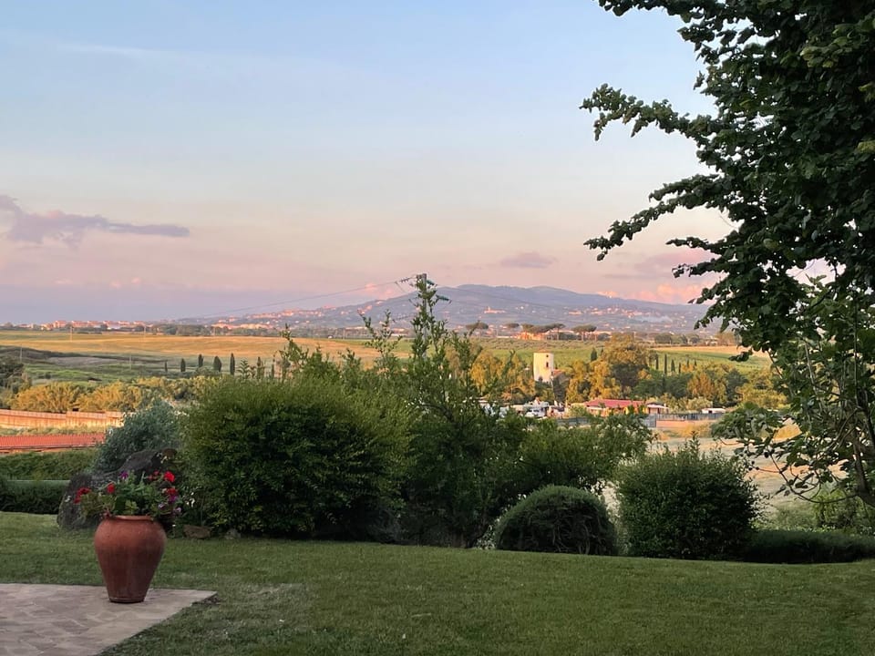 Garden view