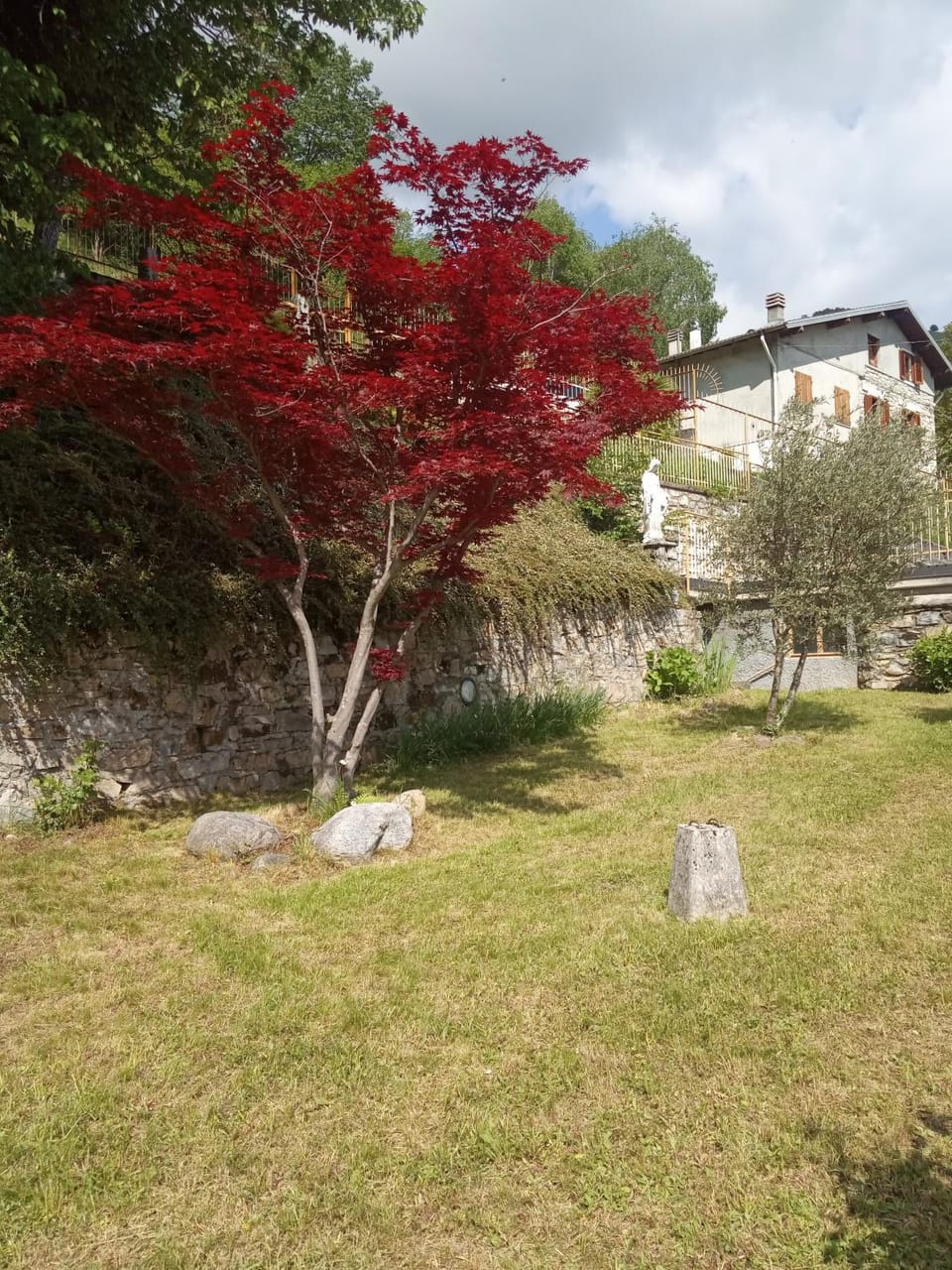 Villa Giulia Bed and Breakfast in Canton of Ticino