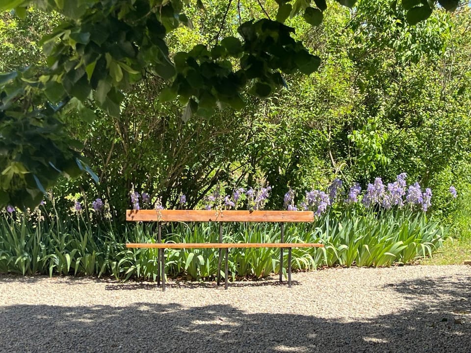 Natural landscape, Garden, Garden view