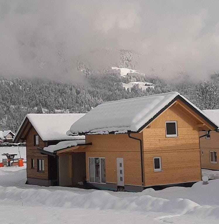 Felsenfest Cottage House in Carinthia, Austria