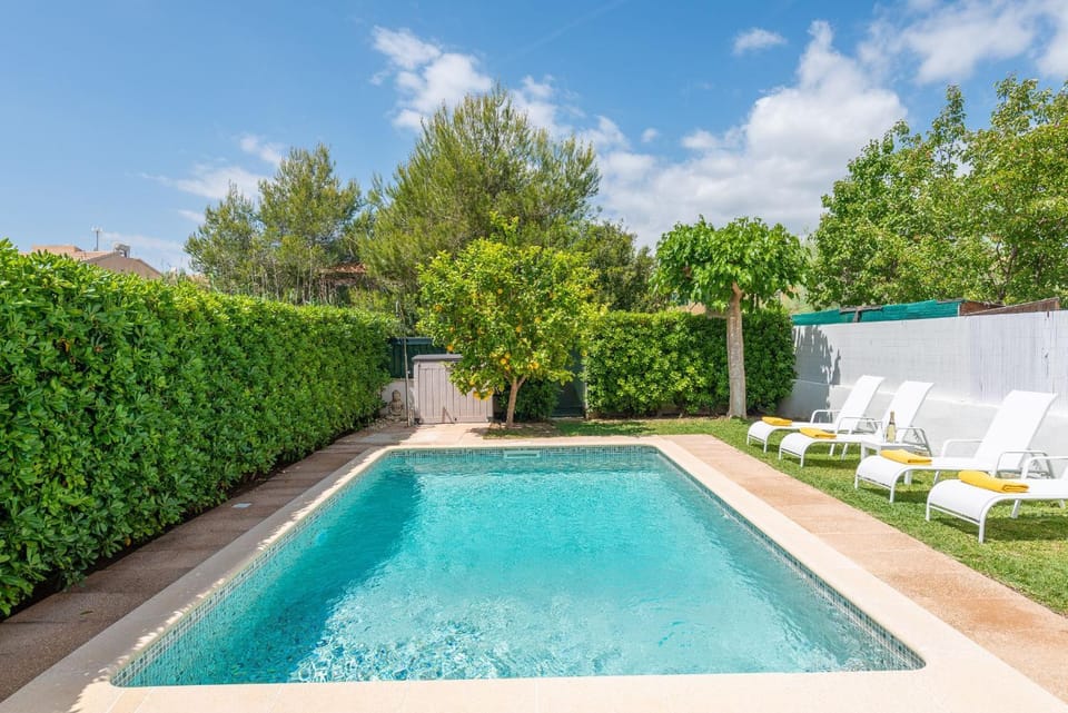 Garden, Swimming pool, sunbed