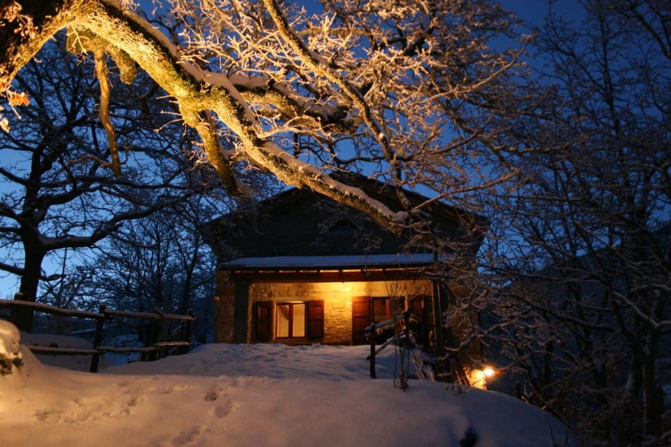 Property building, Winter
