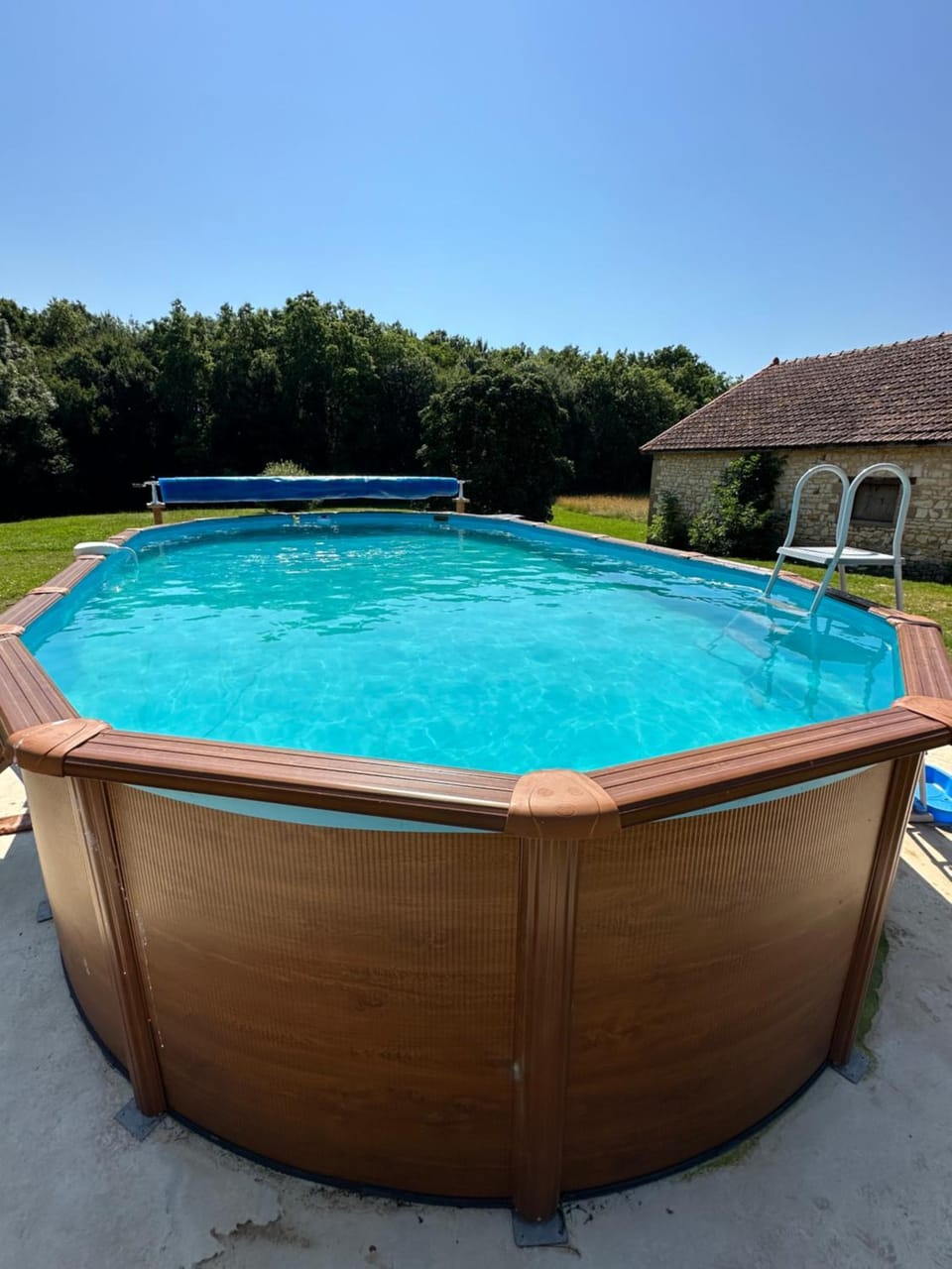 Garden, Pool view, Swimming pool