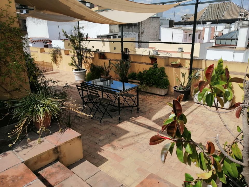 Tourist House Trajano Terraza-Piscina Apartment in Seville