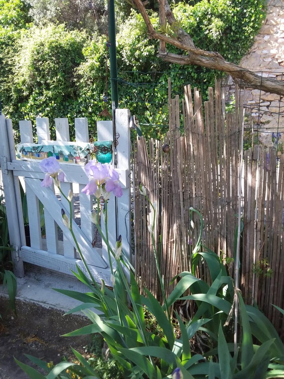 Chambre d'hôtes chez Gwennaelle Bed and Breakfast in Bédoin