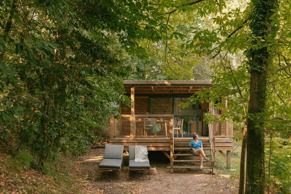Patio, Garden view