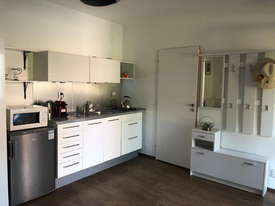 Kitchen or kitchenette, minibar, stove