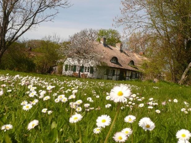Reethaus Rosengarten - Whg Gartenrose Apartment in Mecklenburg-Vorpommern, Germany
