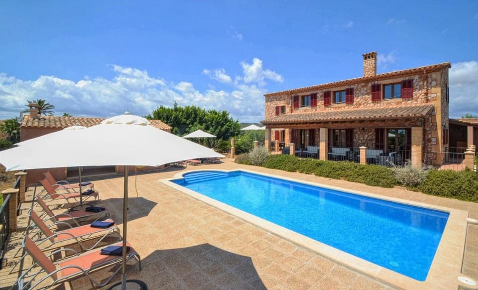 Patio, Garden, Garden view