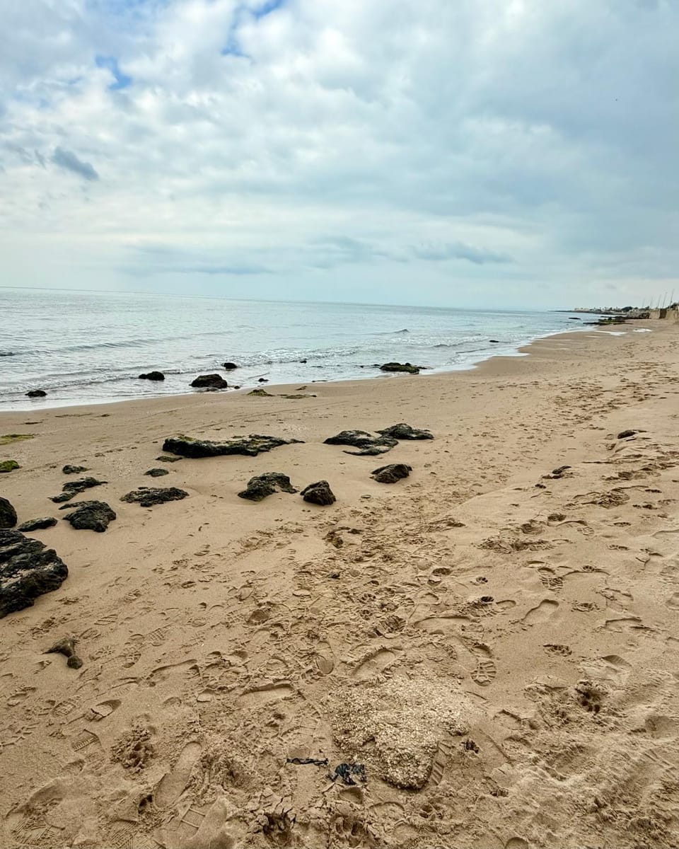 Natural landscape, Beach, Sea view