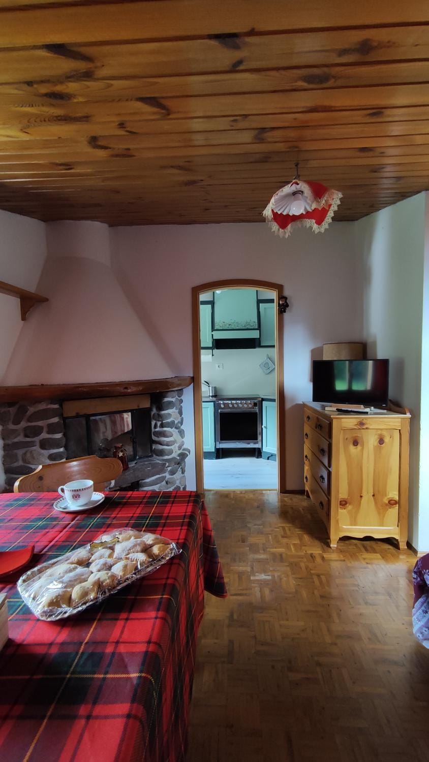 Mansarda dell'orso Apartment in Pie' Falcade