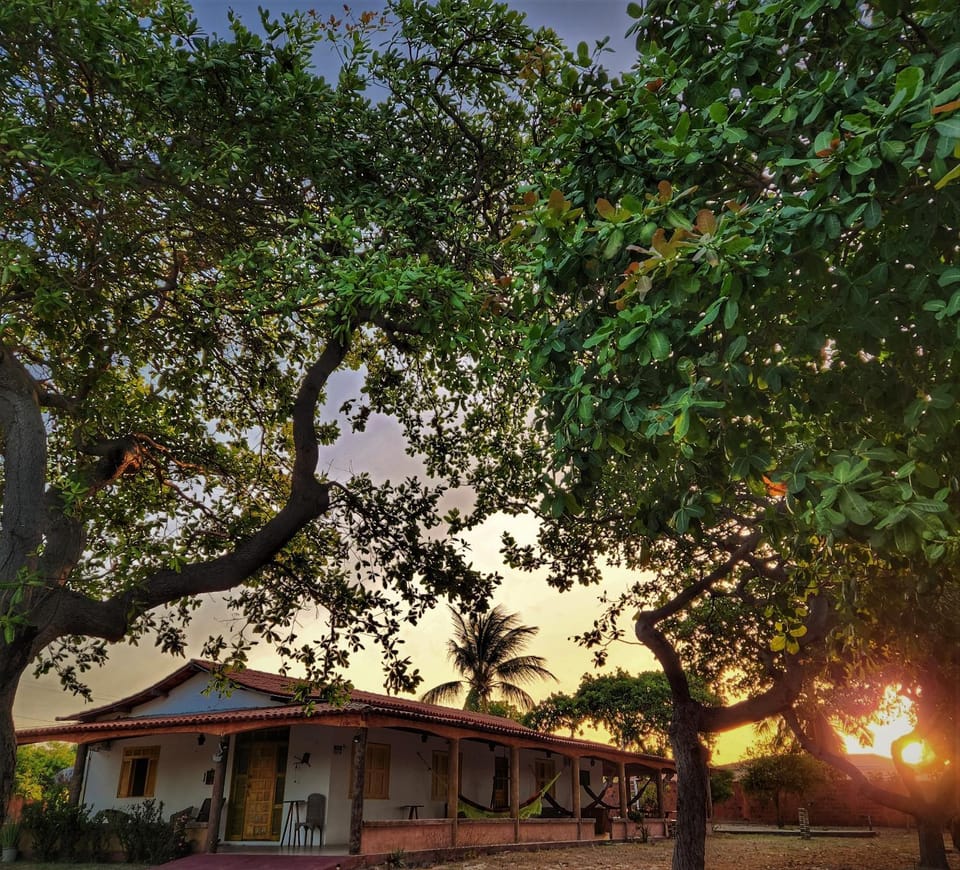 Property building, Garden view, Sunset