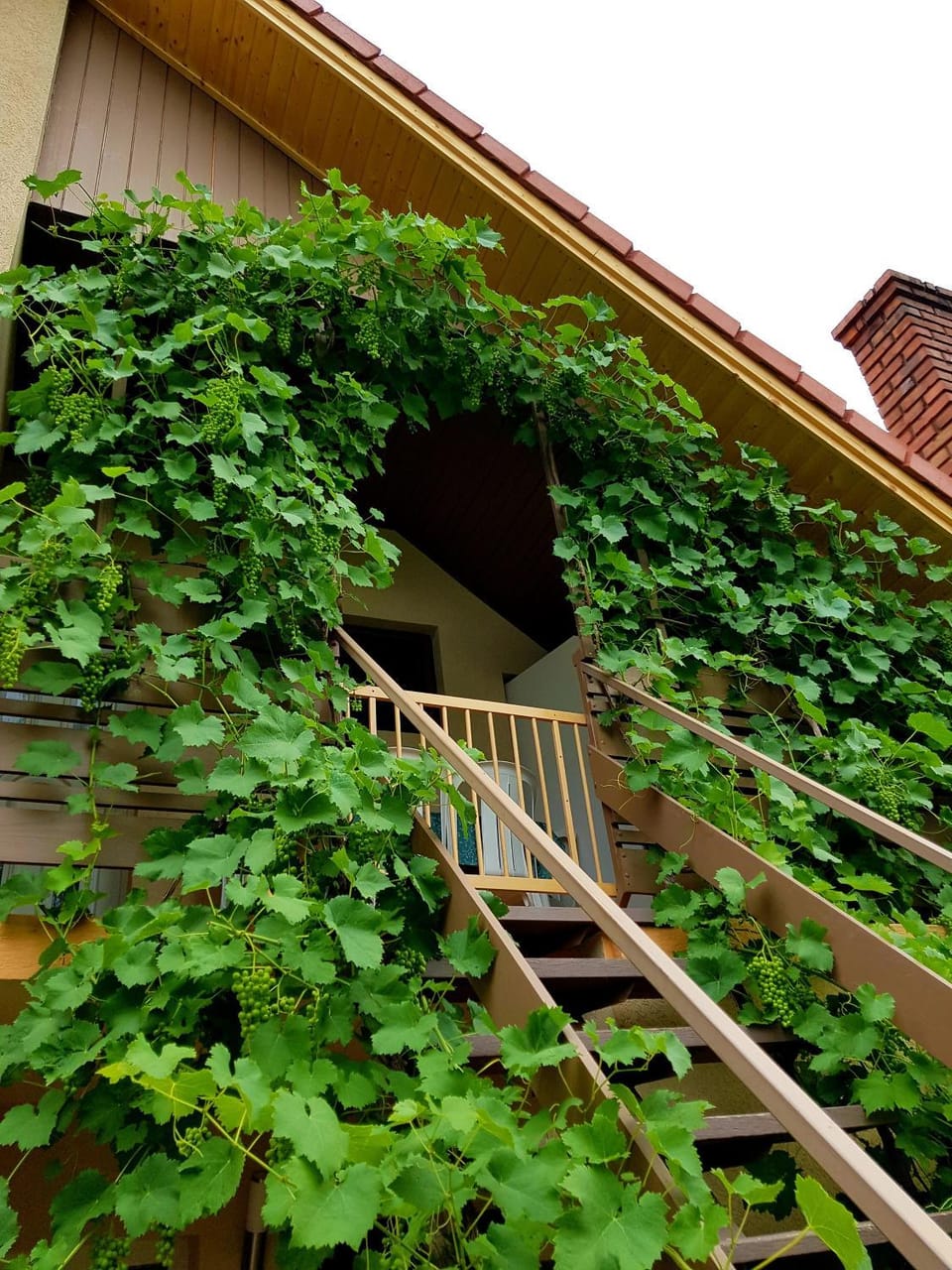 Borostyán Apartmann Apartment in Hungary