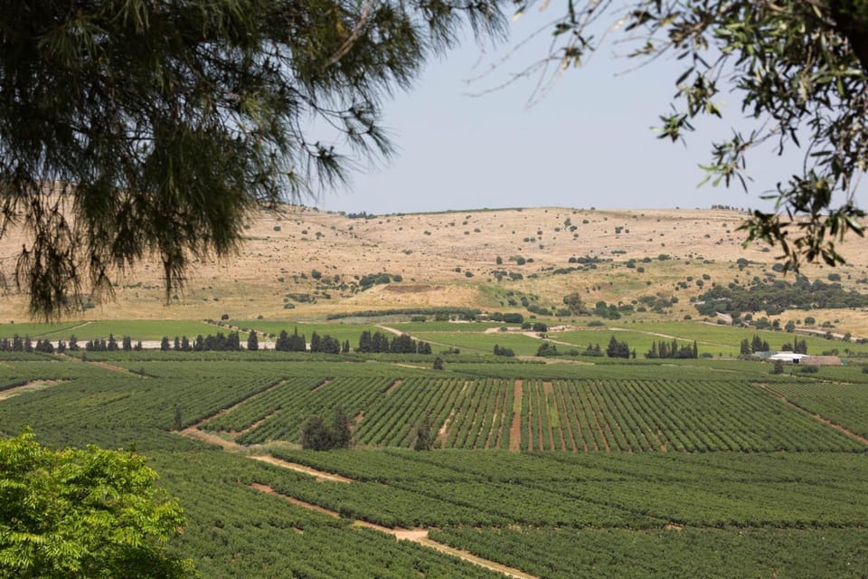 Natural landscape